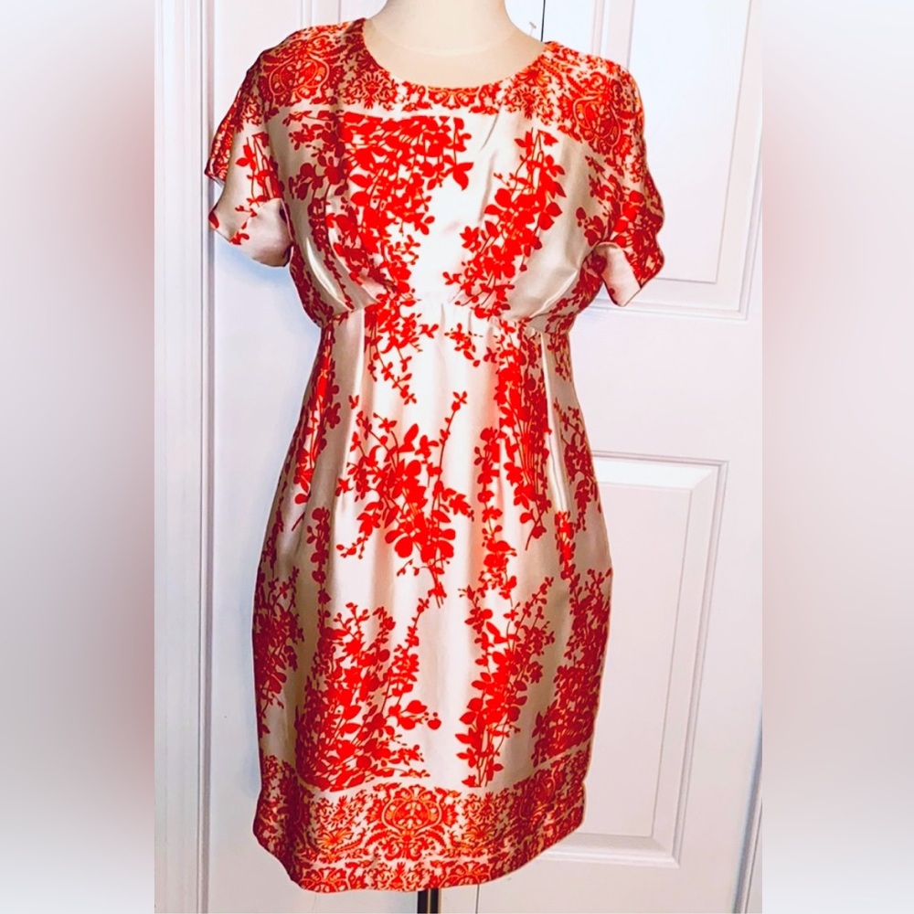 Collective concepts gorgeous dress M